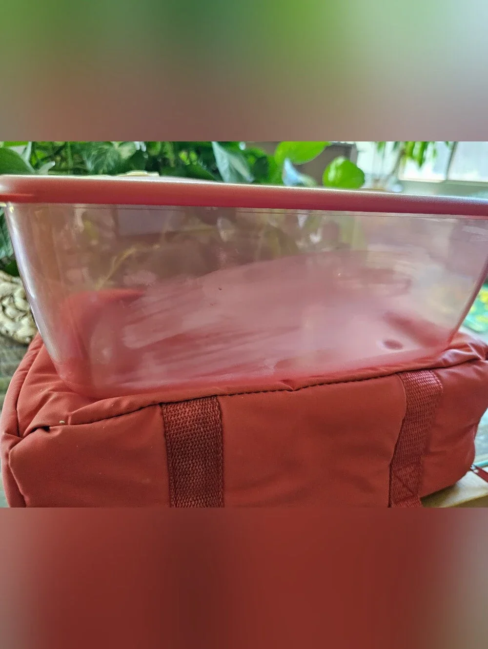Tupperware listing vintage